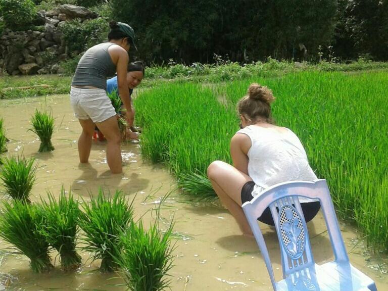 Yen Nhi Homestay Ban Gioc กาวบั่ง ภายนอก รูปภาพ